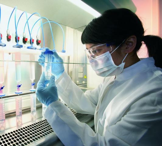 LABORATORIO_11.jpg
