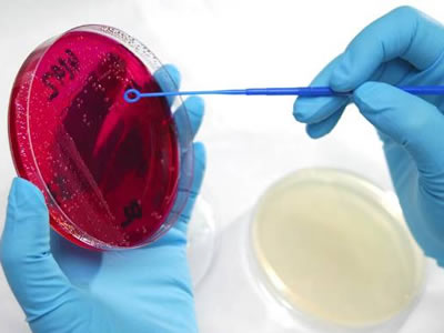 LABORATORIO_2.jpg
